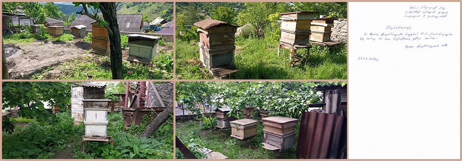 Bees and beehives for the family of Artur Paremuzyan